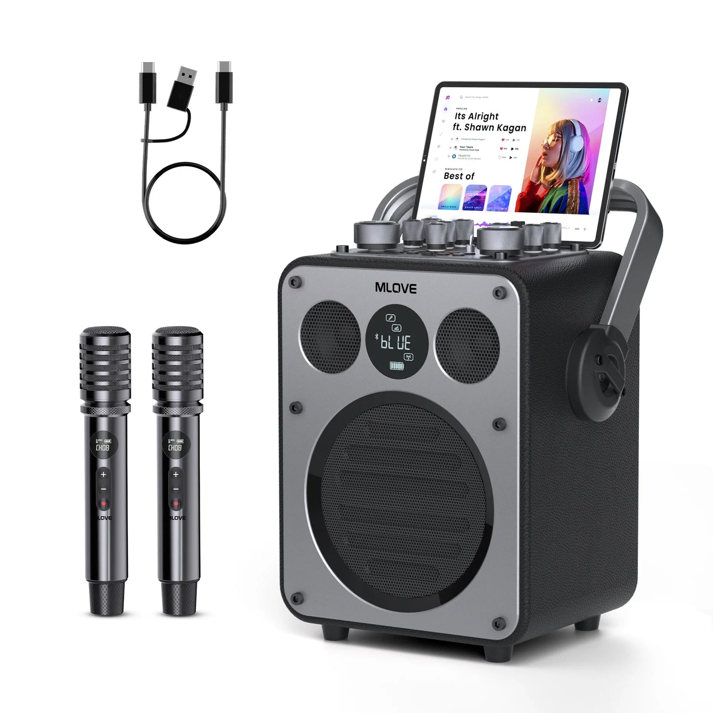 MLOVE D5 Karaoke Machine With Bluetooth And 2 Wireless Mics